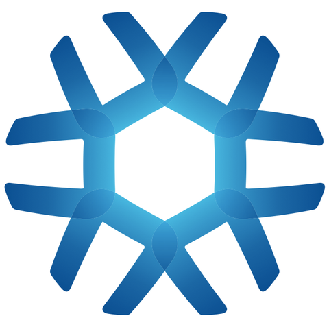 company logo